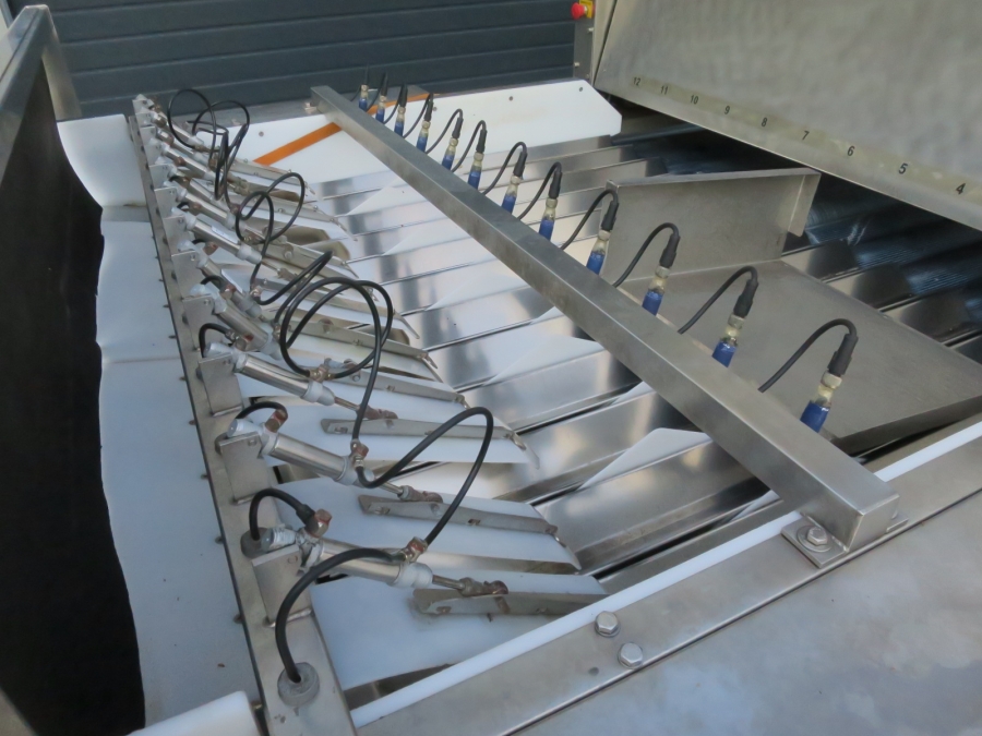 5080 Newtec Celox optical potato sorter grader