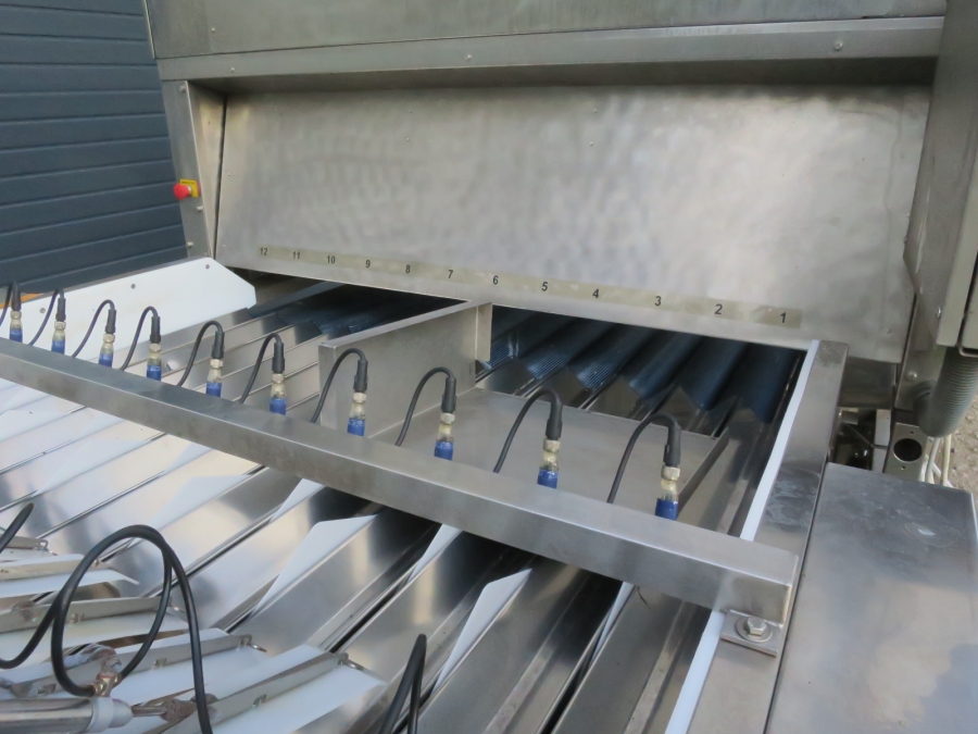 5080 Newtec Celox optical potato sorter grader