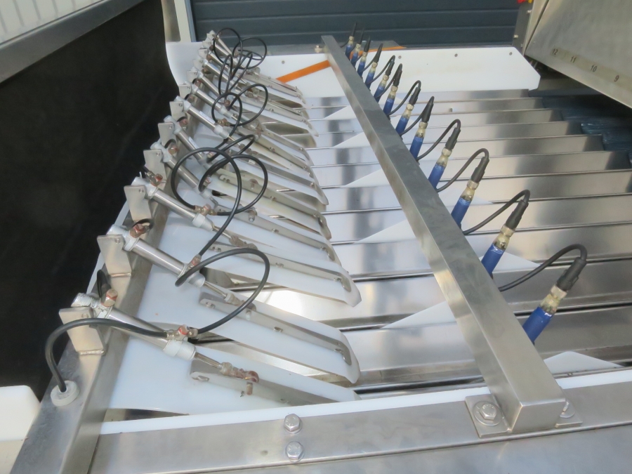 5080 Newtec Celox optical potato sorter grader