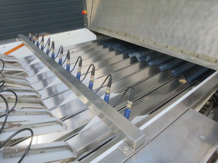 5080 Newtec Celox optical potato sorter grader
