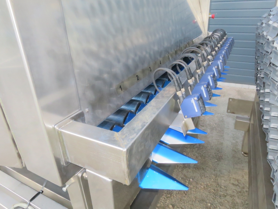 5080 Newtec Celox optical potato sorter grader