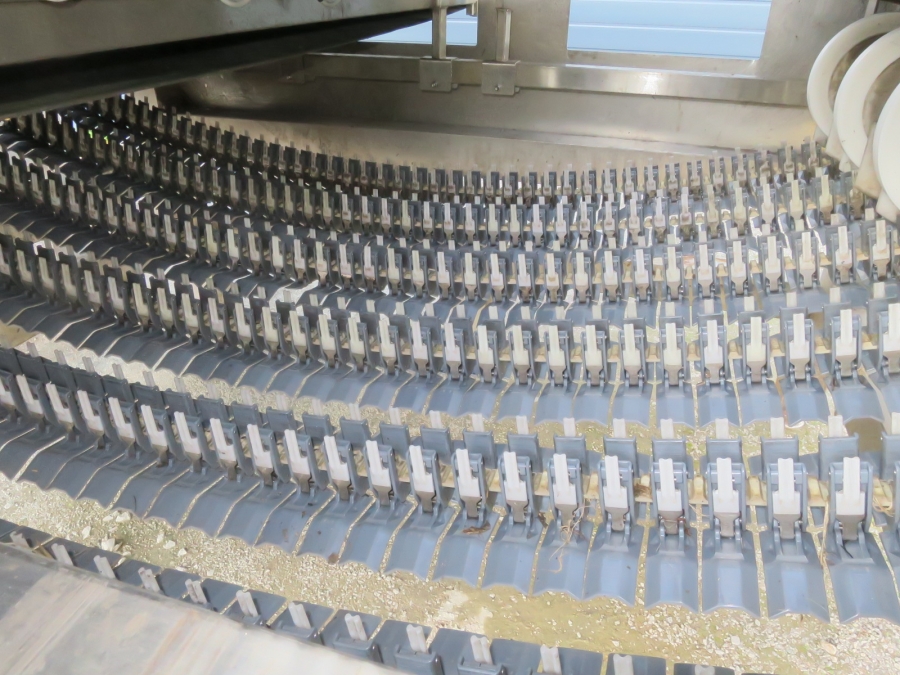 5080 Newtec Celox optical potato sorter grader