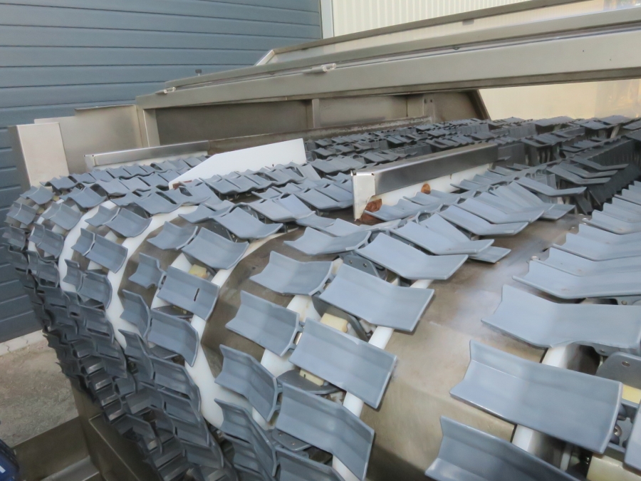 5080 Newtec Celox optical potato sorter grader