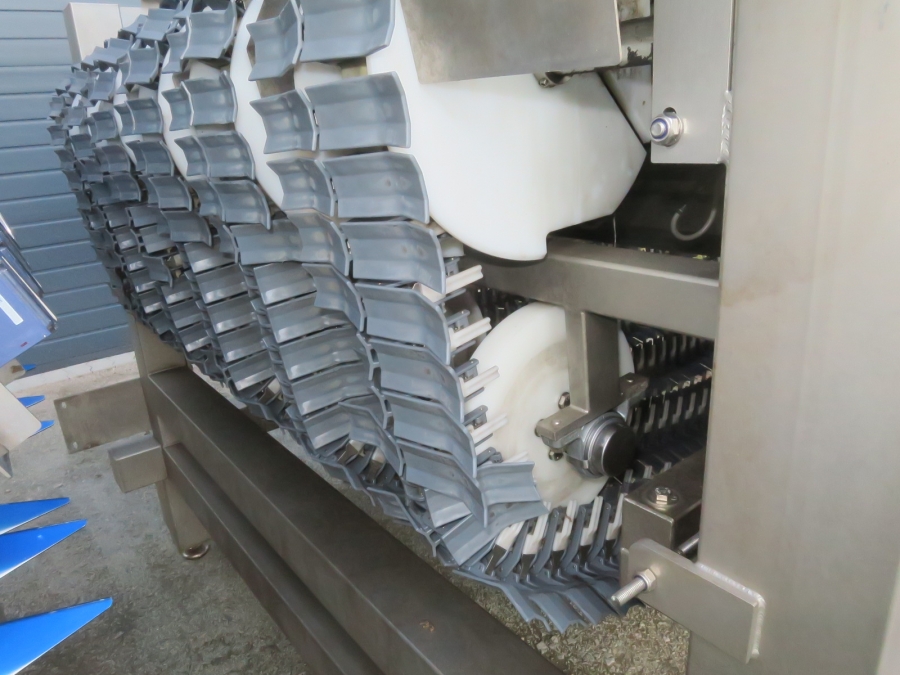 5080 Newtec Celox optical potato sorter grader