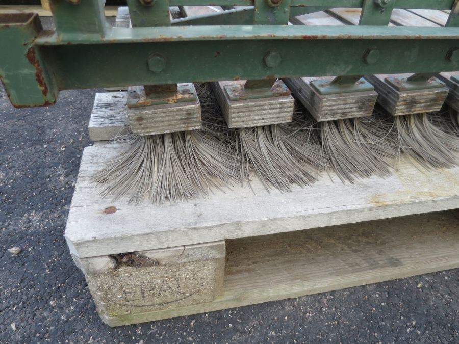 5091 Compas potato sorting line
