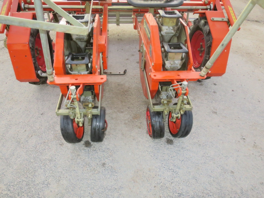 5160 Checchi & Magli Wolf with plastic mulch layer