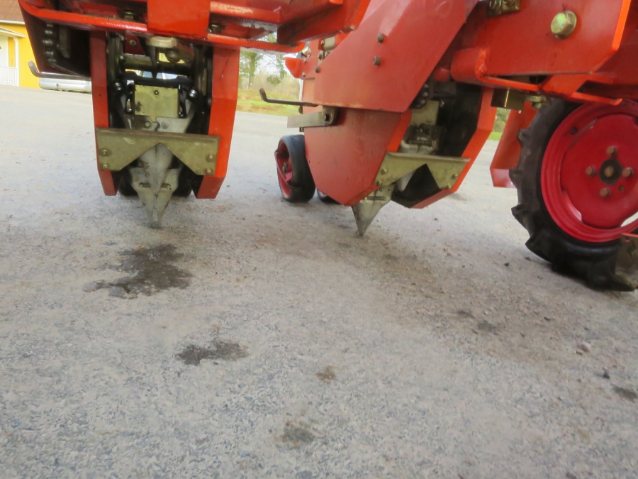 5160 Checchi & Magli Wolf with plastic mulch layer