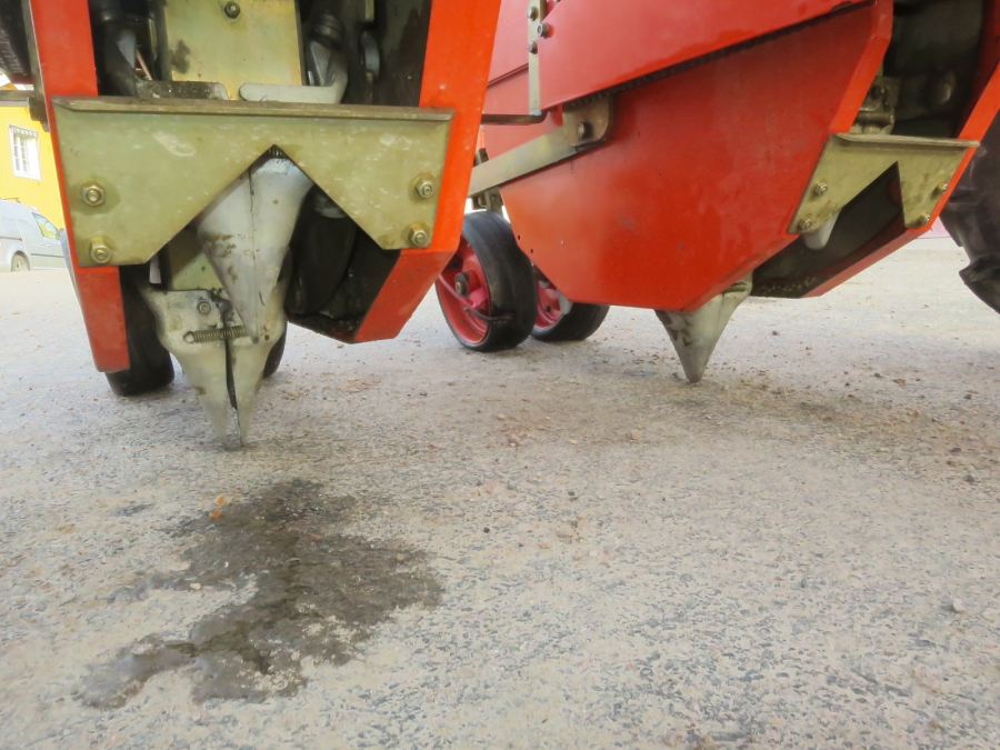 5160 Checchi & Magli Wolf with plastic mulch layer