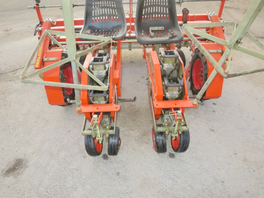 5160 Checchi & Magli Wolf with plastic mulch layer