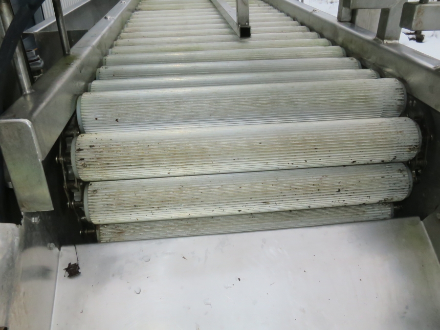5170 RMT roller table in stainless steel