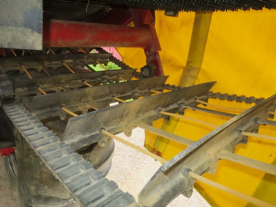 5204 Grimme SE85-55 potato harvester
