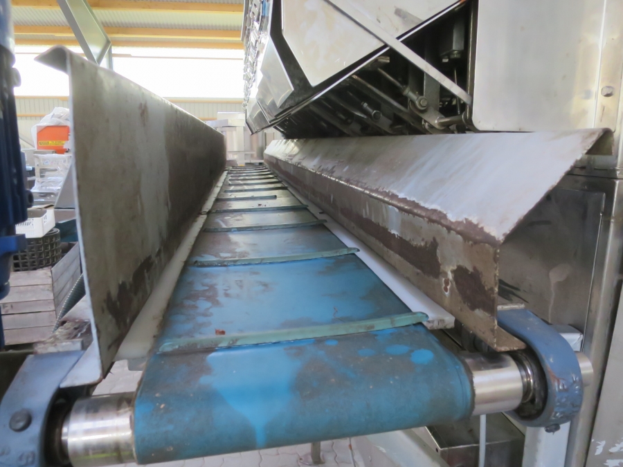 5211 Newtec 2009XB Waage für Kartoffel, Zwiebel usw