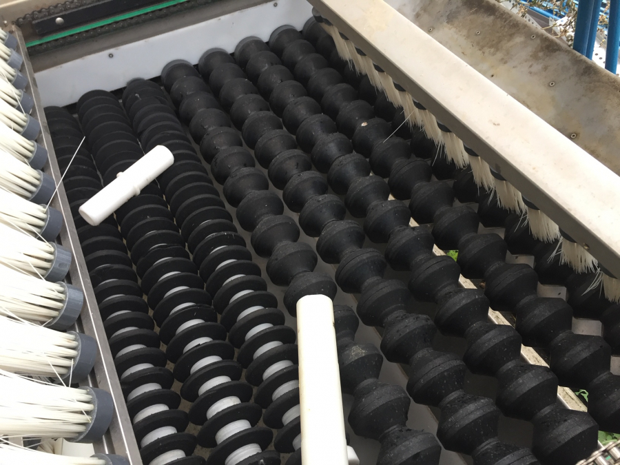 5271 EMVE diabolo grader for peeled product