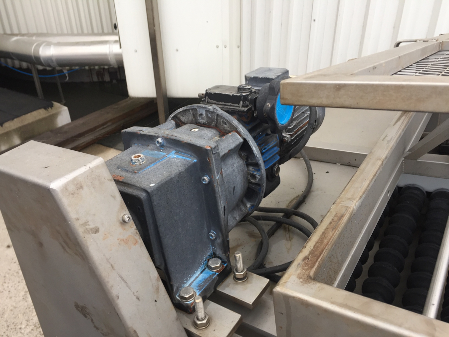5271 EMVE diabolo grader for peeled product