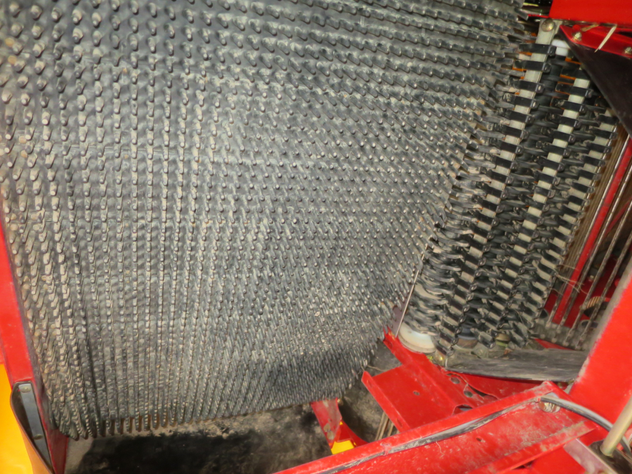 5278 Grimme SE75-40 potato harvester