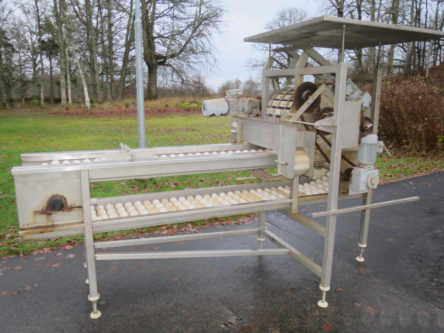 5293 Limas quatering machine for potato