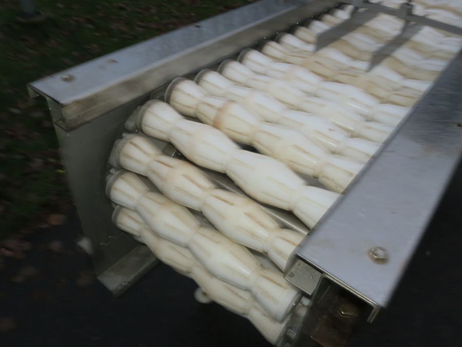 5293 Limas quatering machine for potato