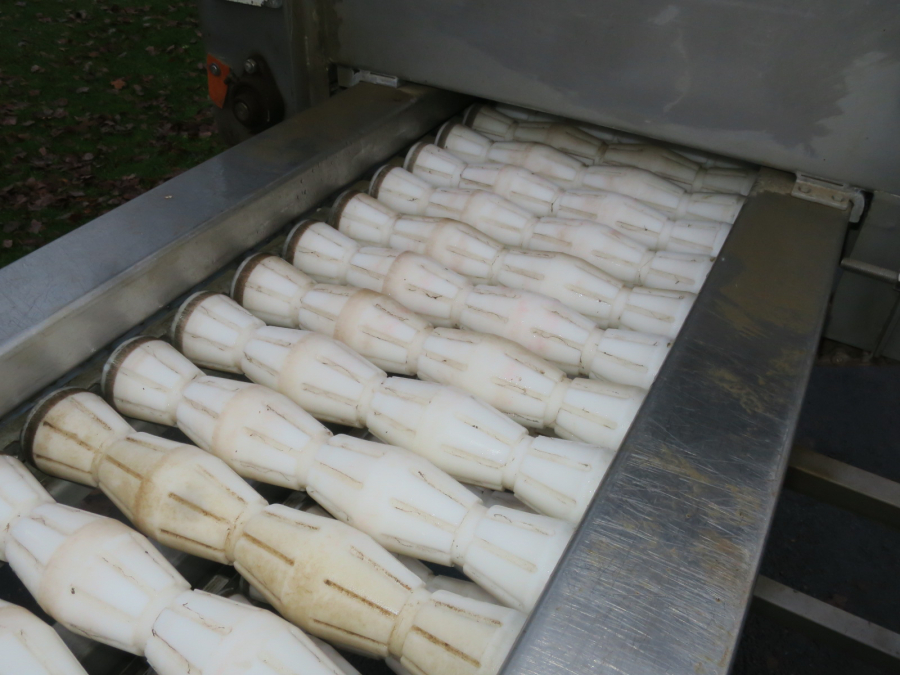 5293 Limas quatering machine for potato