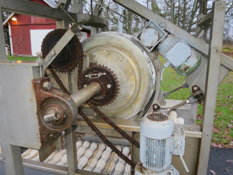5293 Limas quatering machine for potato