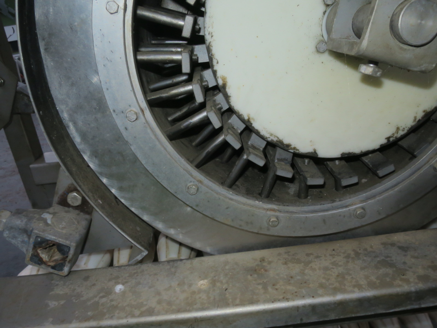 5293 Limas quatering machine for potato
