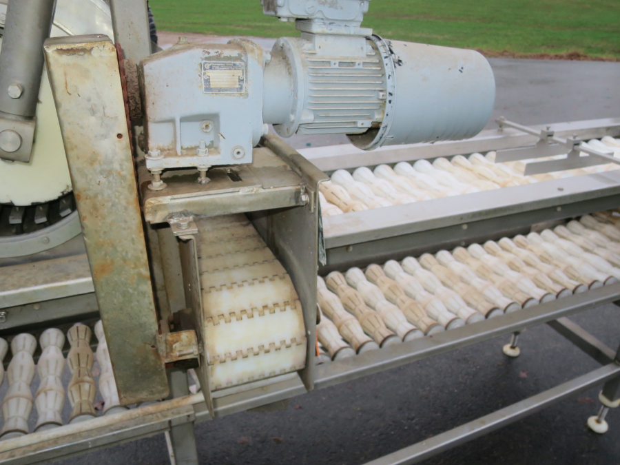 5293 Limas quatering machine for potato