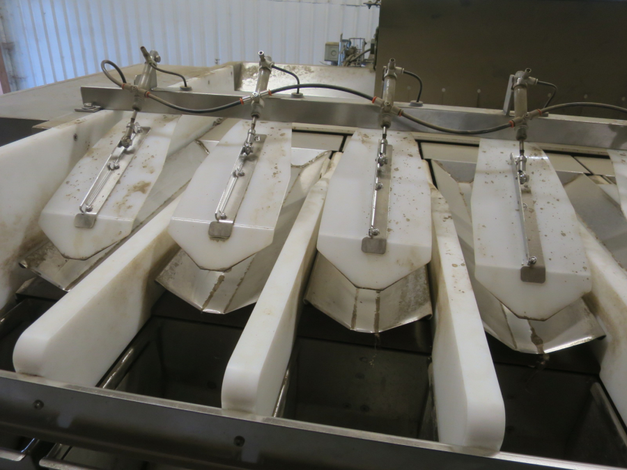 5324 EMVE BE6000 paper bagger with Newtec 2009XBG weigher