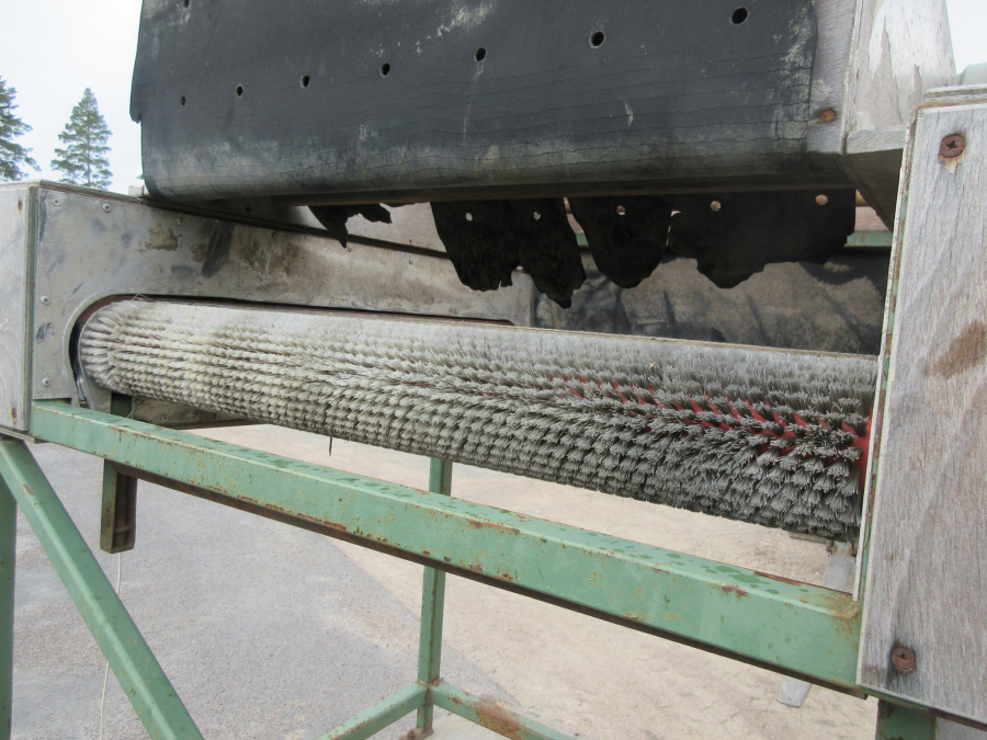 5411 Schouten potato grader complete line