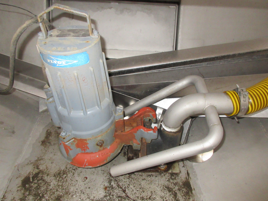 5418 EMVE Potato washer WE DW 1200 