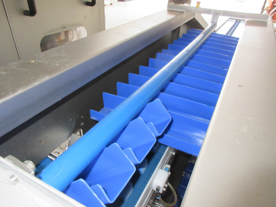 5422 Tenrit plus C16 carrot peeling line with top and tail