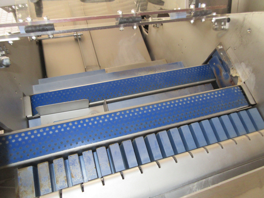 5422 Tenrit plus C16 carrot peeling line with top and tail