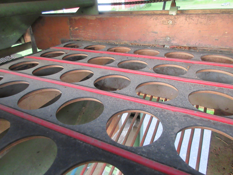 5426 Schouten onion sorter combi with inspection etc