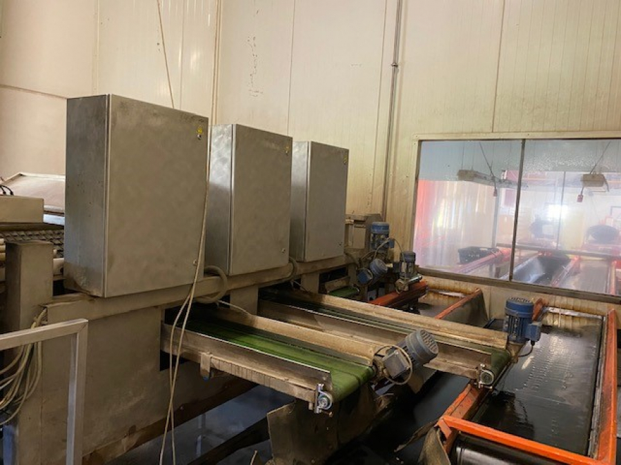 5443 Newtec celox optical sorter for carrots