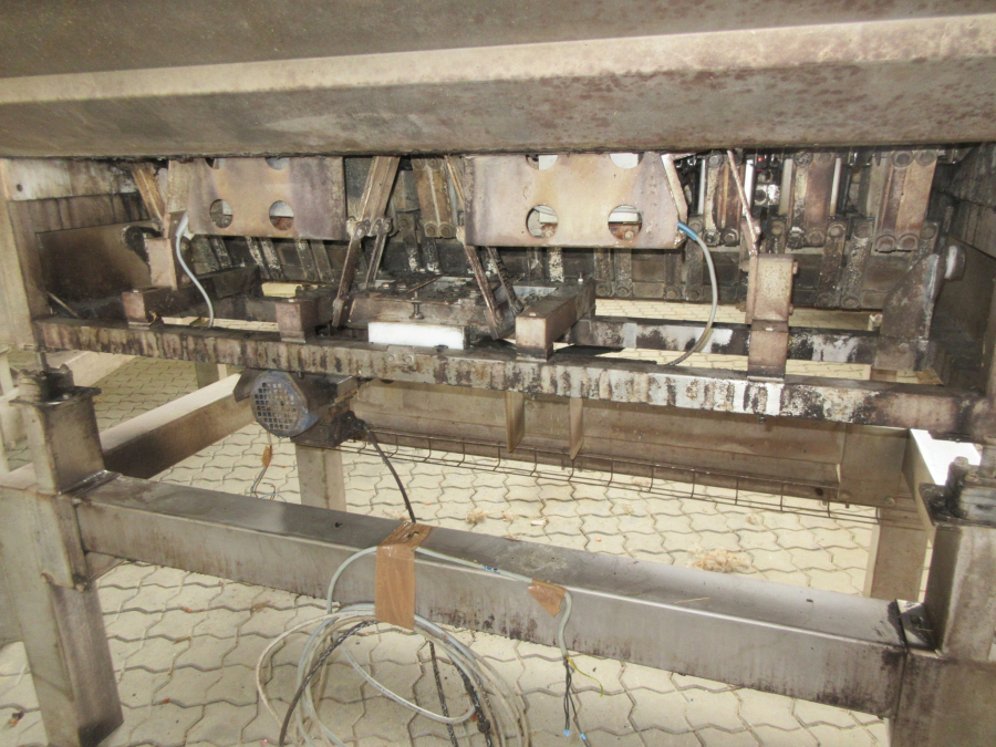 5443 Newtec celox optical sorter for carrots