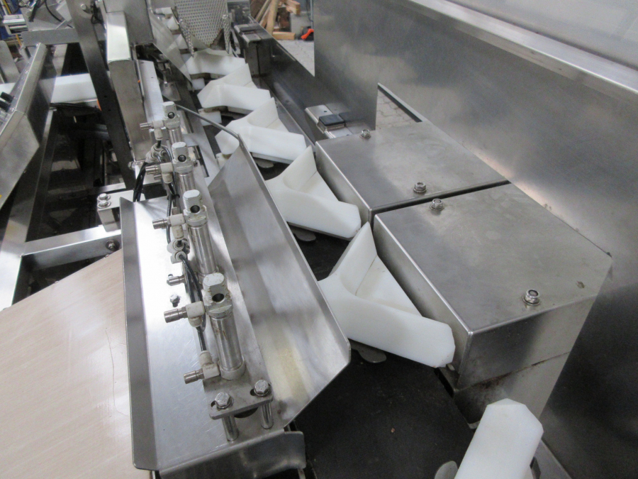 5460 Newtec tray filler NBM61 for punnets