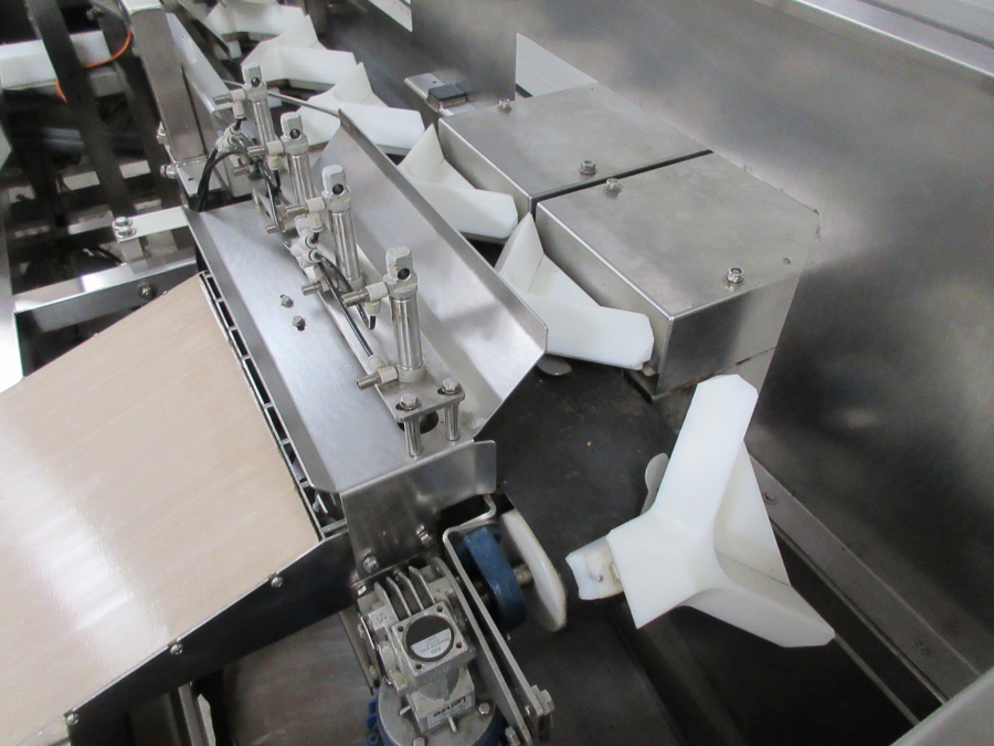 5460 Newtec tray filler NBM61 for punnets