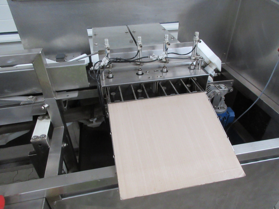 5460 Newtec tray filler NBM61 for punnets