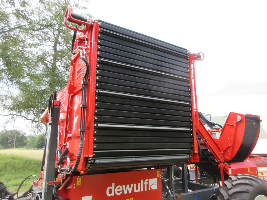 5481 Dewulf GBC carrot harvester with bunker