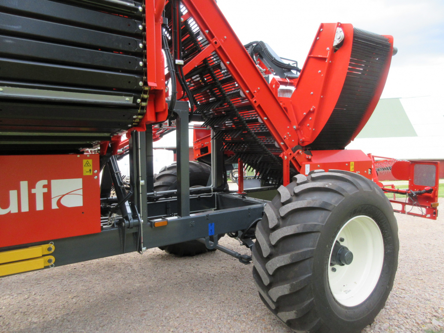 5481 Dewulf GBC carrot harvester with bunker