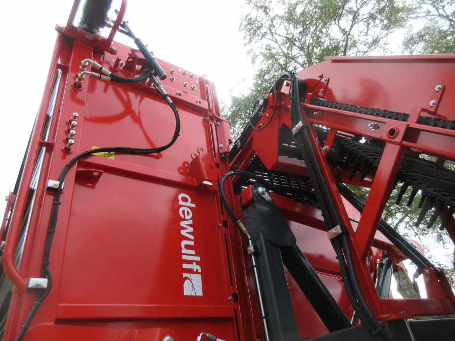 5481 Dewulf GBC carrot harvester with bunker