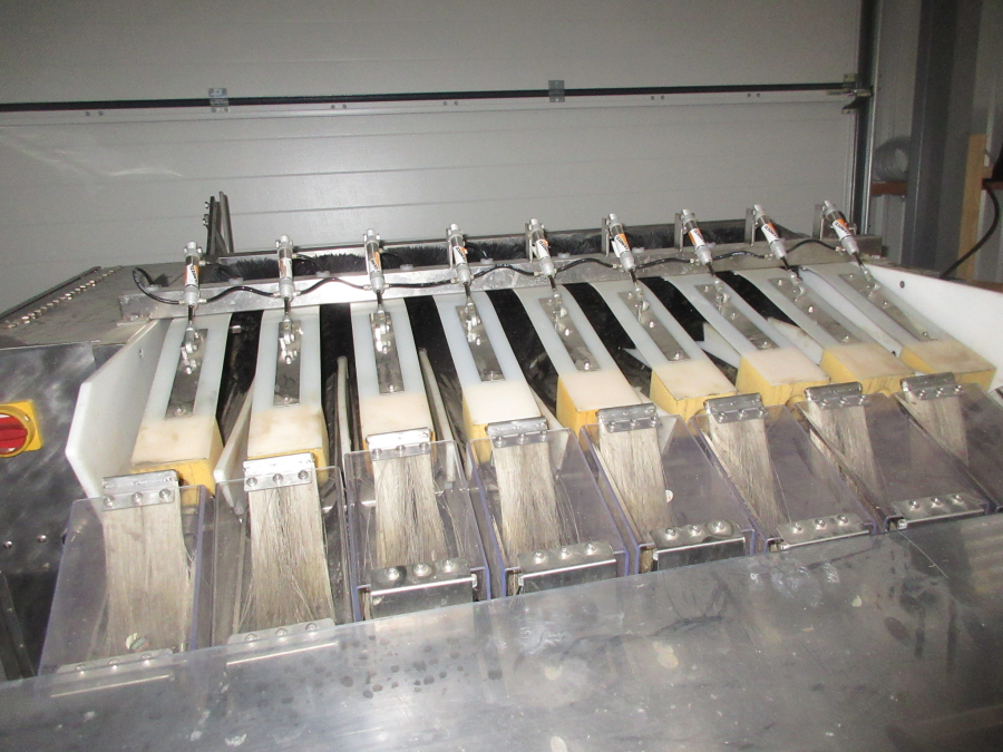 5513 Newtec 2009A apple weigher