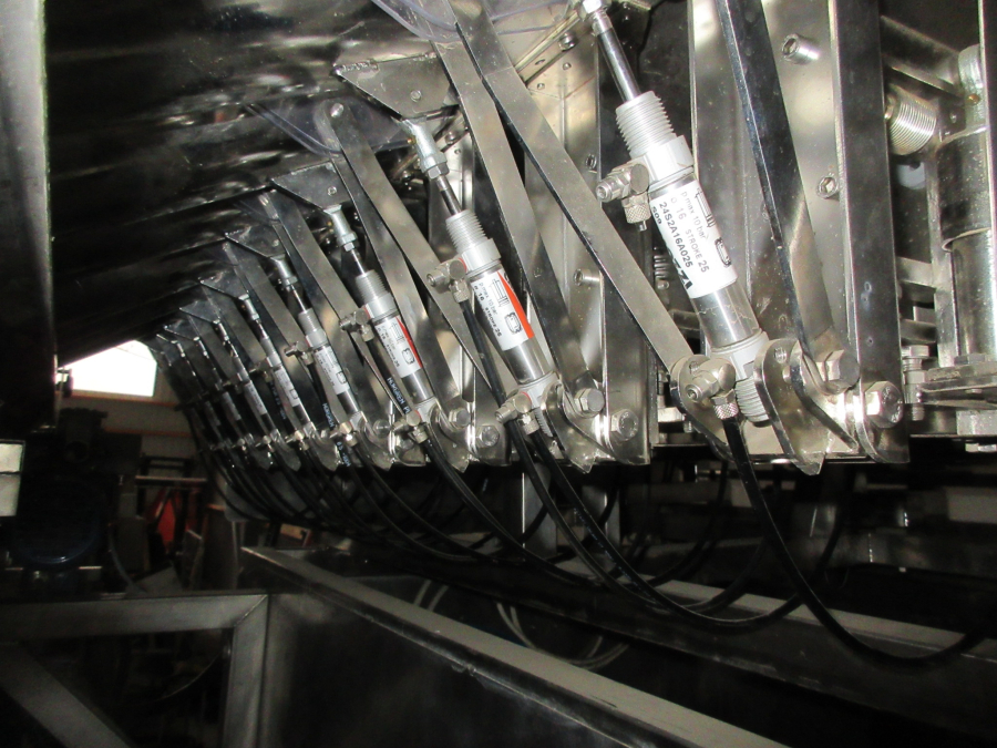 5513 Newtec 2009A apple weigher