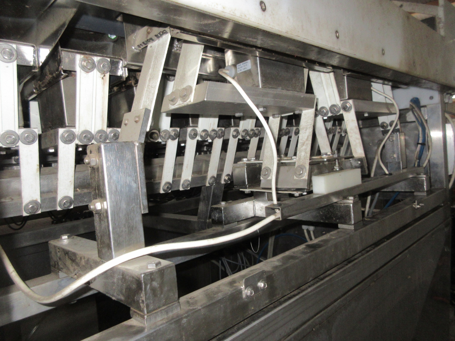 5513 Newtec 2009A apple weigher