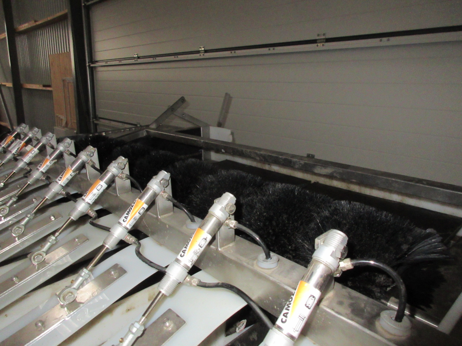 5513 Newtec 2009A apple weigher