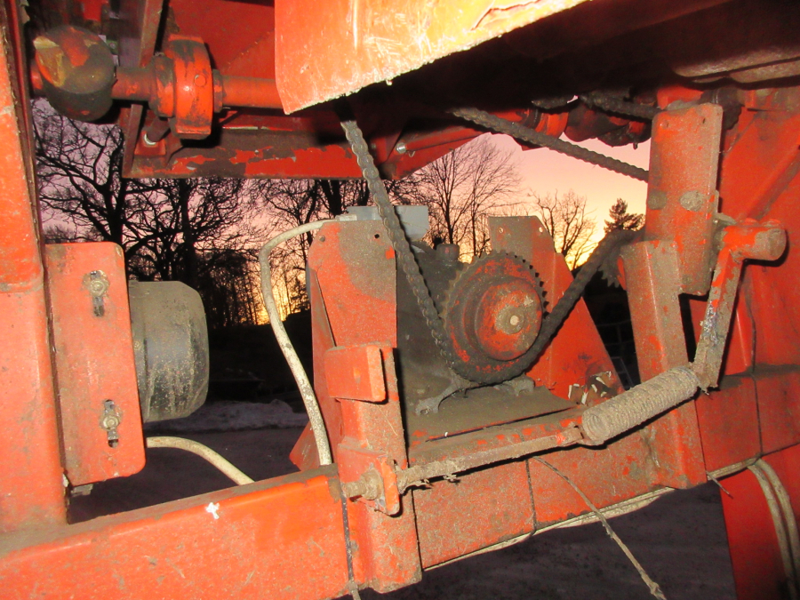 5551 EKKO diameter sorter grader for carrots