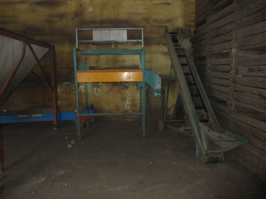 5596 Bording potato sorter line