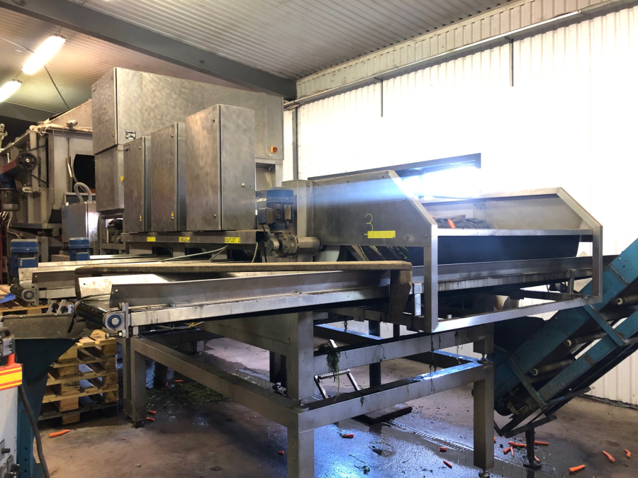 5603 NEWTEC Celox RV12 optical grader for carrots