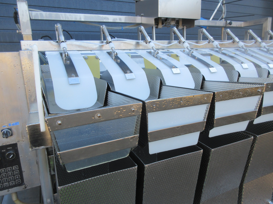5628 Newtec 2009PCB weigher for processed products