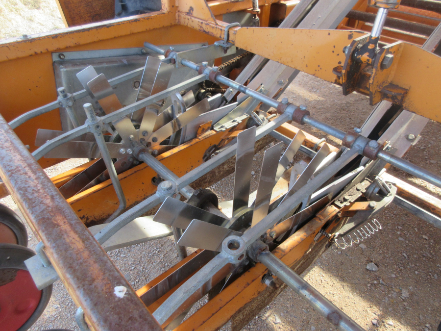 5631 Regero transplanter belt planter R907 3/4 row