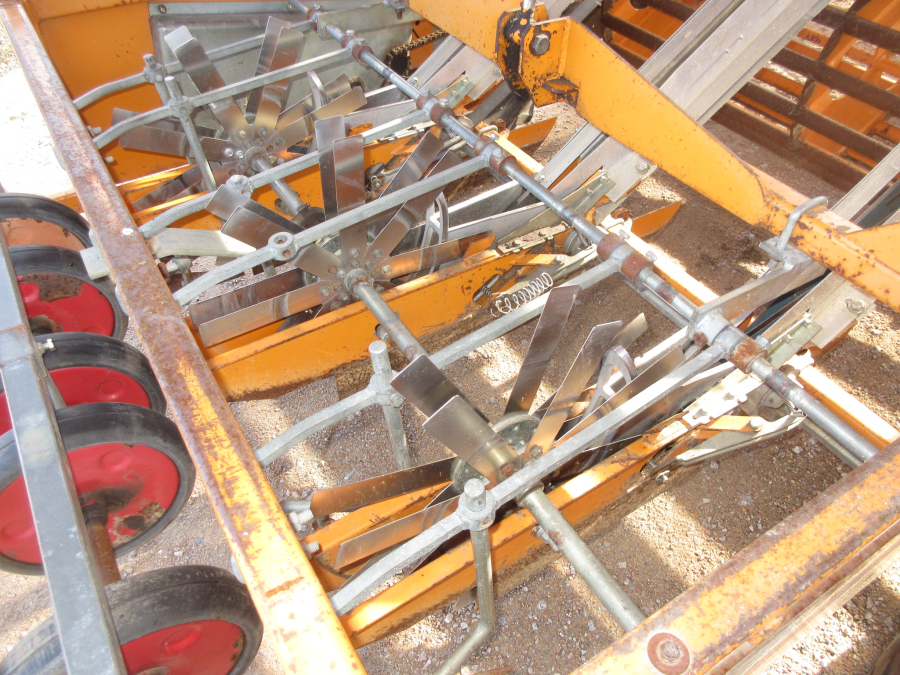 5631 Regero transplanter belt planter R907 3/4 row