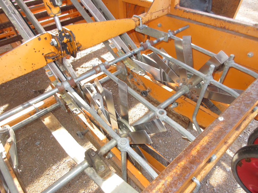 5631 Regero transplanter belt planter R907 3/4 row